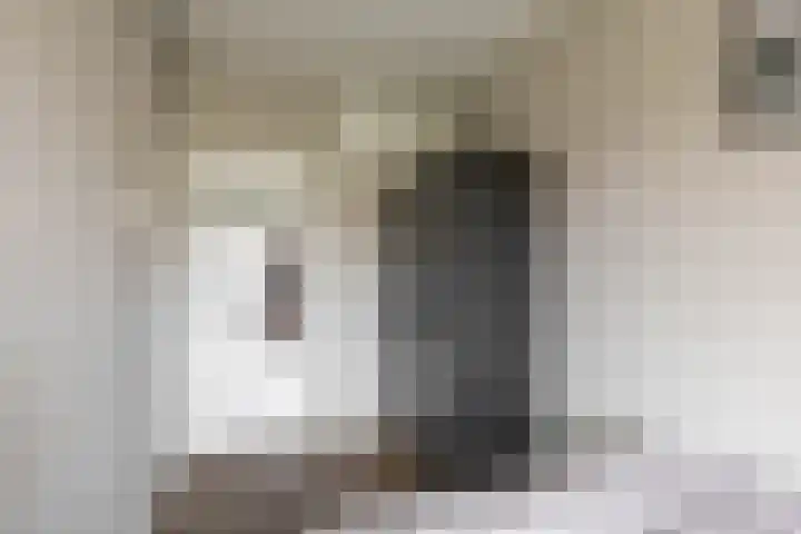 Pioenstraat 22 Groningen thumbnail 24