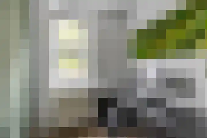 Pioenstraat 22 Groningen thumbnail 25