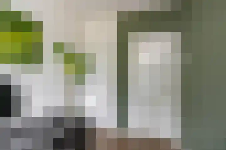 Pioenstraat 22 Groningen thumbnail 26