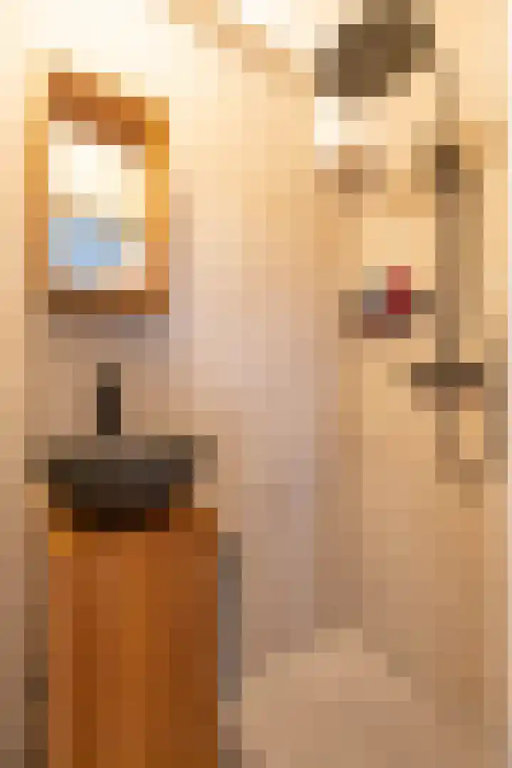 Pioenstraat 22 Groningen thumbnail 27