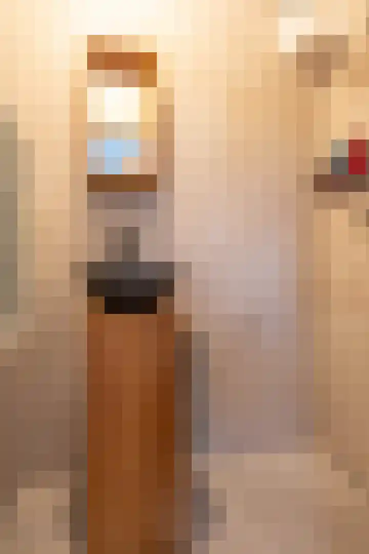 Pioenstraat 22 Groningen thumbnail 28