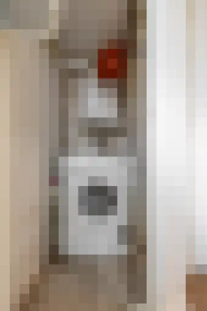 Pioenstraat 22 Groningen thumbnail 30
