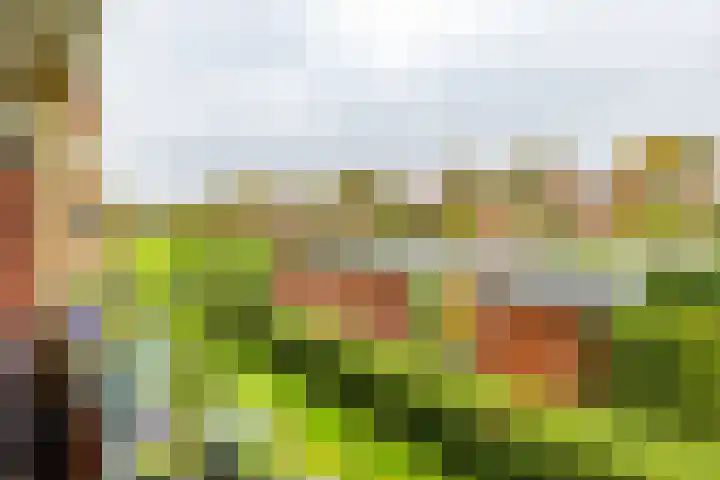Pioenstraat 22 Groningen thumbnail 33