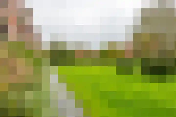 Pioenstraat 22 Groningen thumbnail 37
