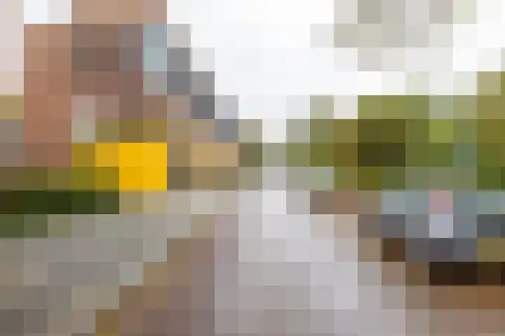 Pioenstraat 22 Groningen thumbnail 38