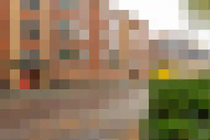 Pioenstraat 22 Groningen thumbnail 4