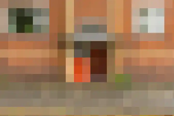 Pioenstraat 22 Groningen thumbnail 5