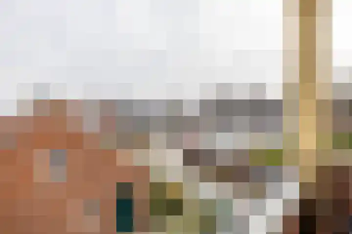 Pioenstraat 23 Groningen thumbnail 31