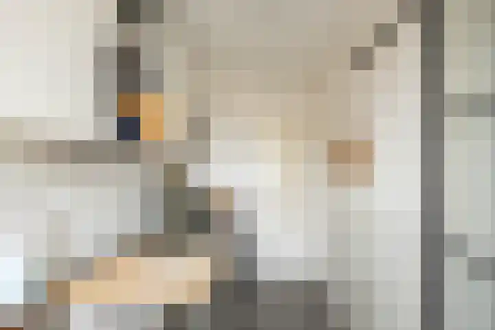 Pioenstraat 23 Groningen thumbnail 33