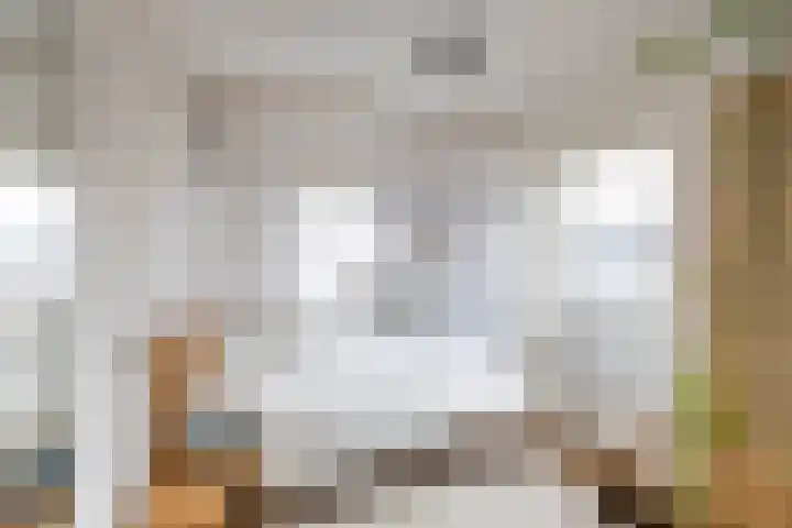 Pioenstraat 23 Groningen thumbnail 34
