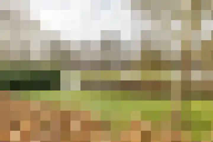 Pioenstraat 23 Groningen thumbnail 8