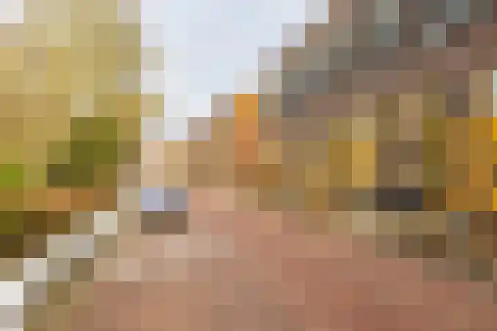 Pioenstraat 23 Groningen thumbnail 9