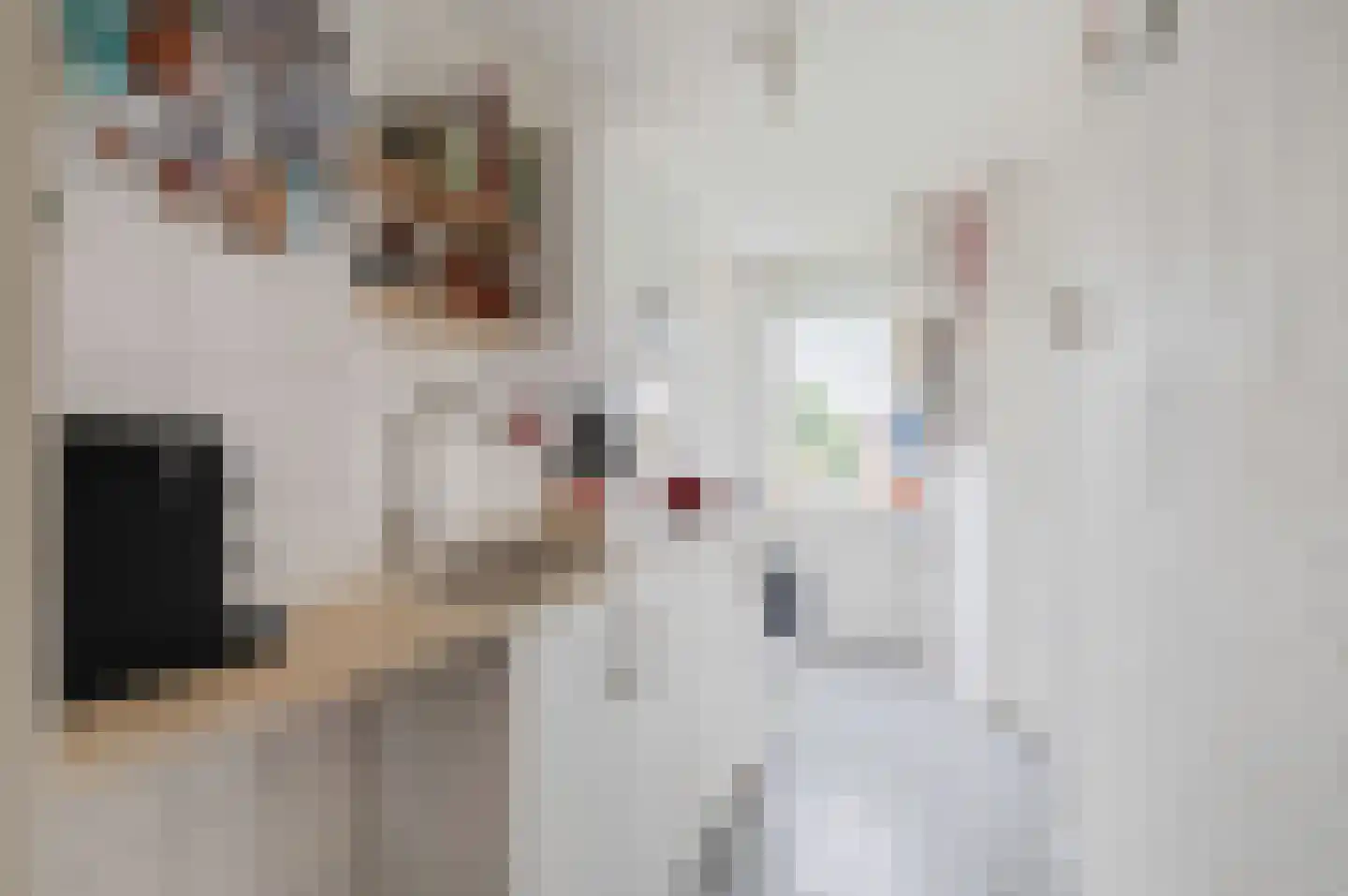 Pioenstraat 44 Groningen thumbnail 12