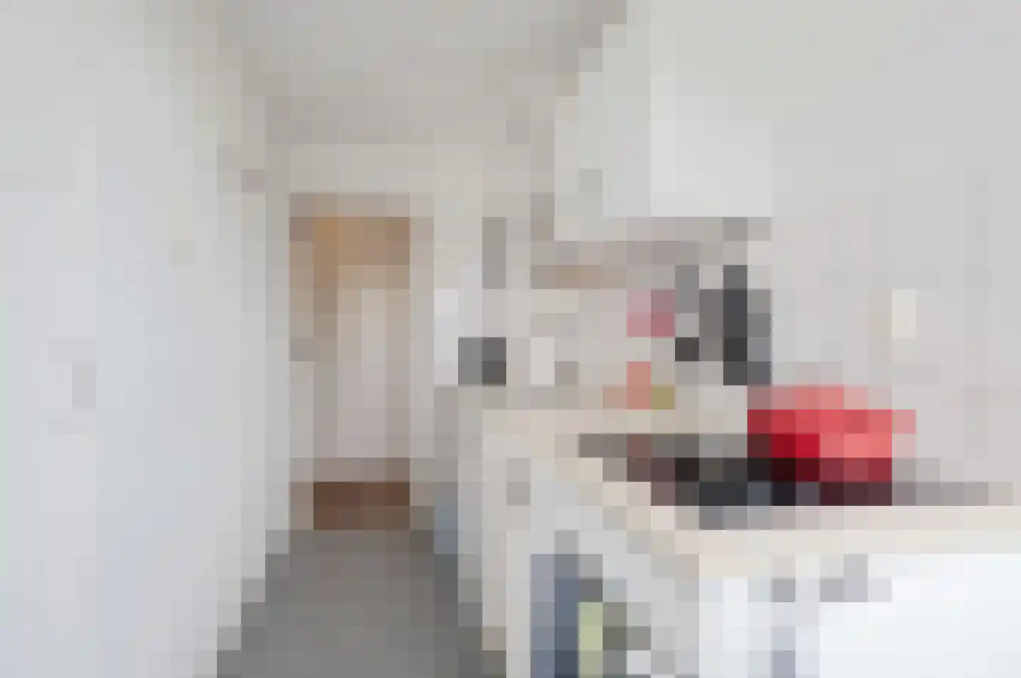 Pioenstraat 44 Groningen thumbnail 14