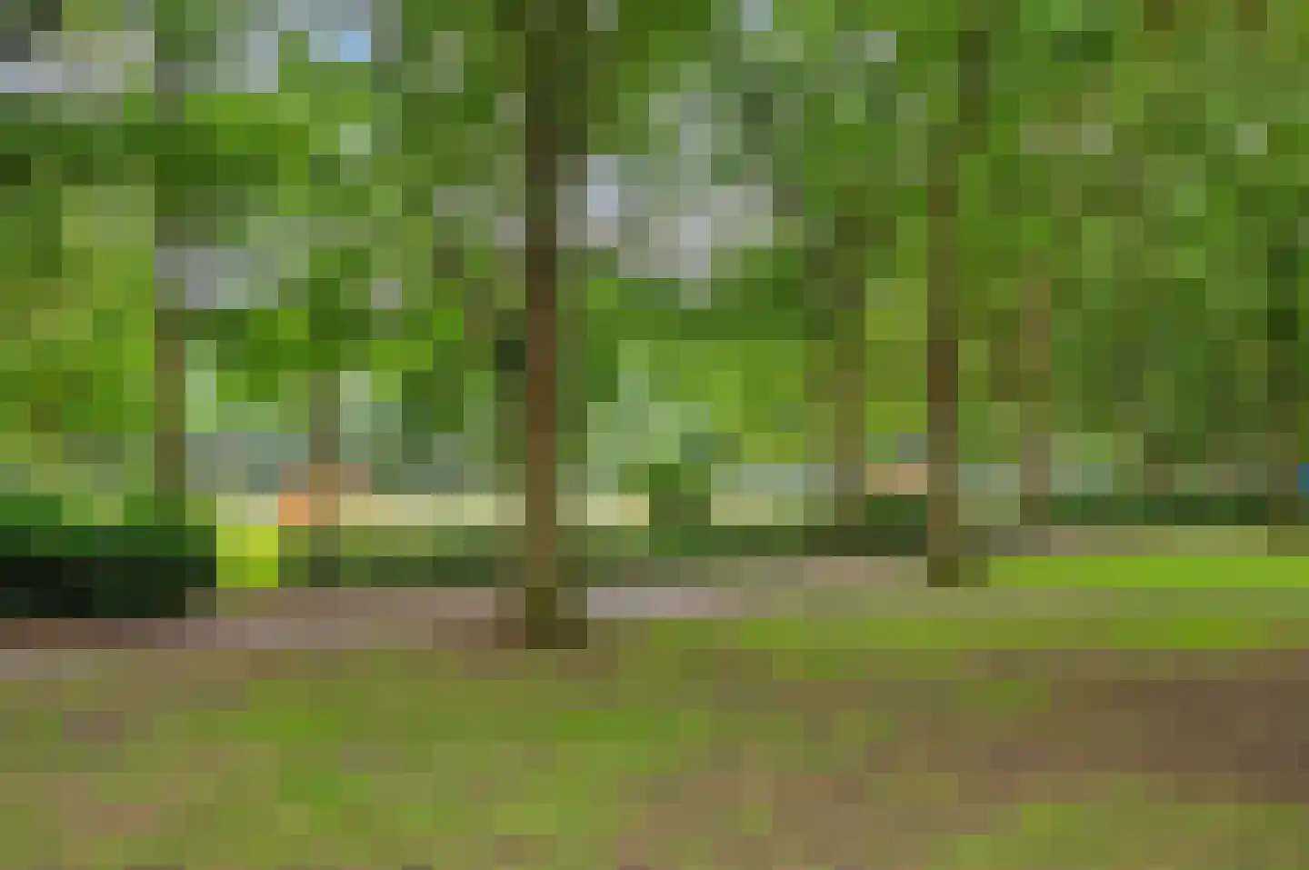 Pioenstraat 44 Groningen thumbnail 24