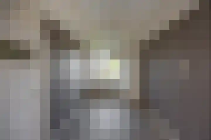 Pioenstraat 53 Groningen thumbnail 15