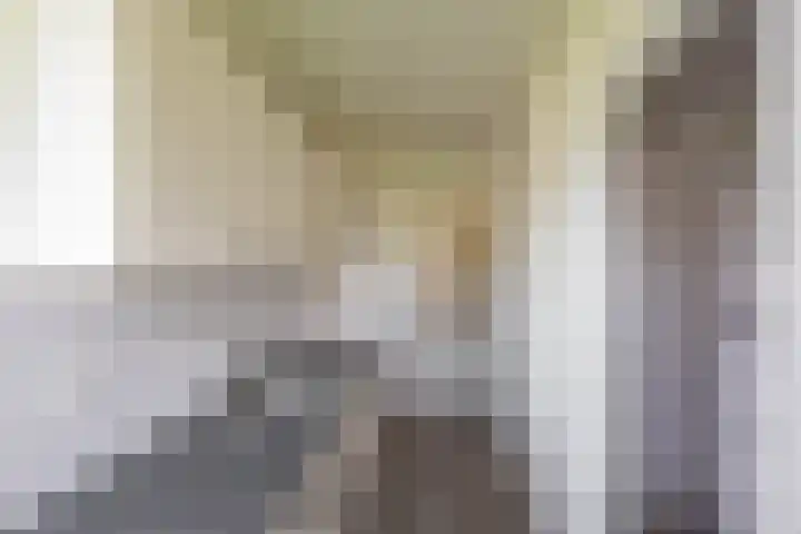 Pioenstraat 53 Groningen thumbnail 17