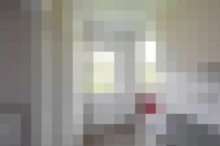 Pioenstraat 53 Groningen thumbnail 19
