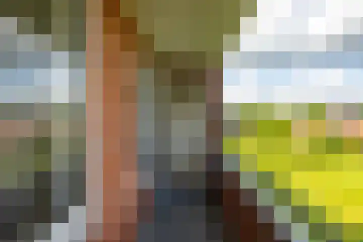 Pioenstraat 53 Groningen thumbnail 20
