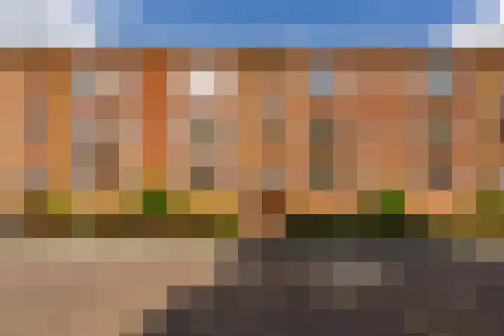 Pioenstraat 53 Groningen thumbnail 31