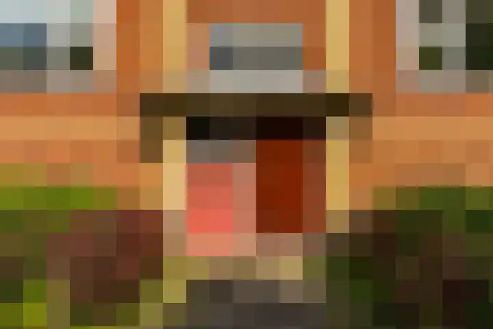 Pioenstraat 53 Groningen thumbnail 6