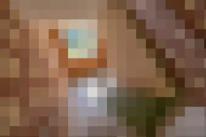 Pioenstraat 53 Groningen thumbnail 7