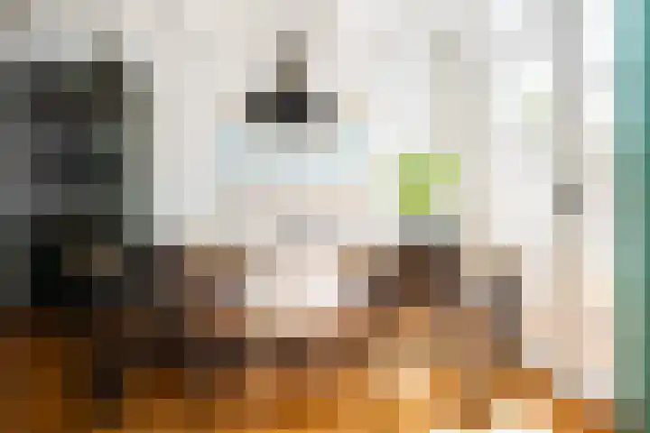 Pioenstraat 6 Zwolle thumbnail 10