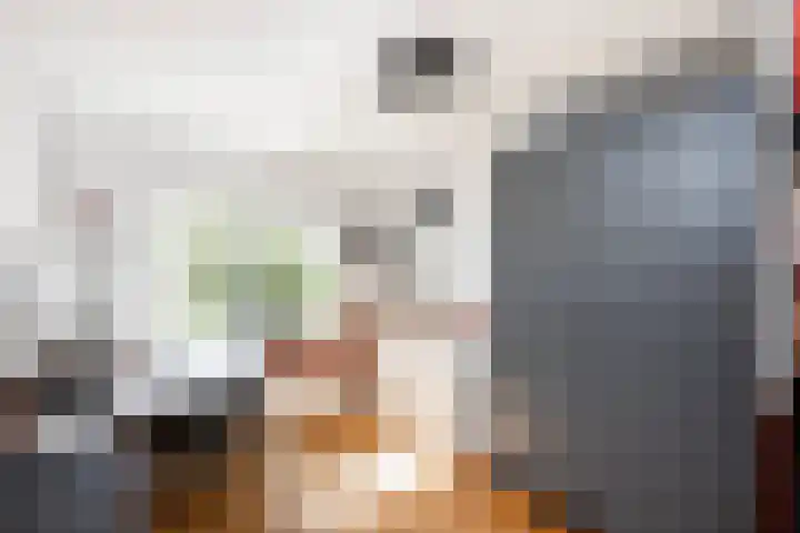 Pioenstraat 6 Zwolle thumbnail 21