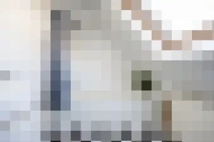 Pioenstraat 6 Zwolle thumbnail 27