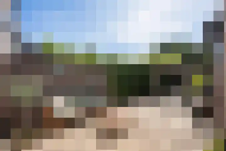 Pioenstraat 6 Zwolle thumbnail 29
