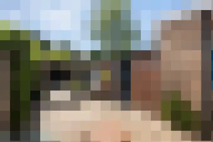 Pioenstraat 6 Zwolle thumbnail 30
