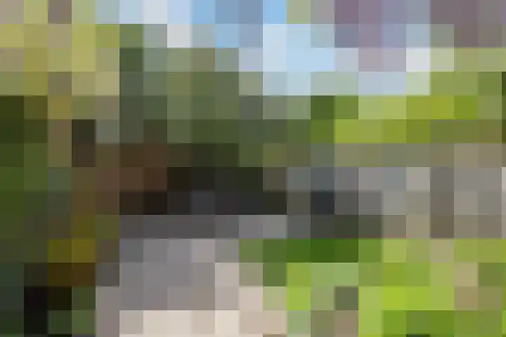 Pioenstraat 6 Zwolle thumbnail 31