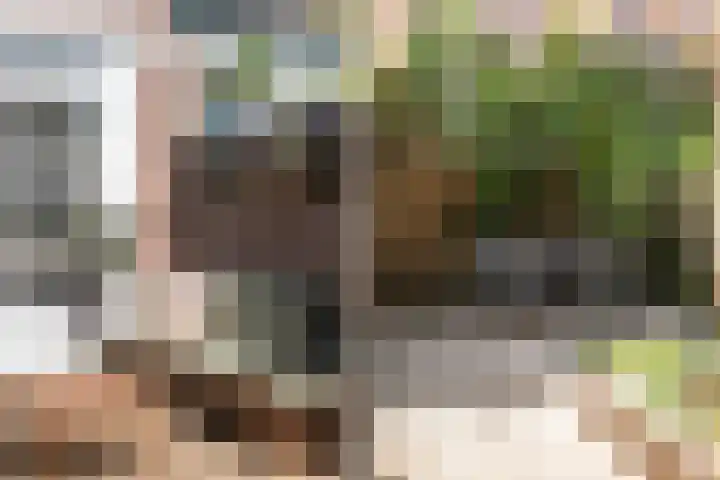Pioenstraat 6 Zwolle thumbnail 32