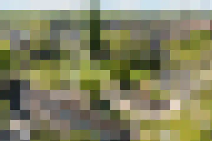 Pioenstraat 6 Zwolle thumbnail 36