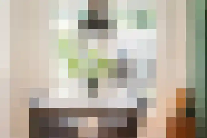 Pioenstraat 6 Zwolle thumbnail 8