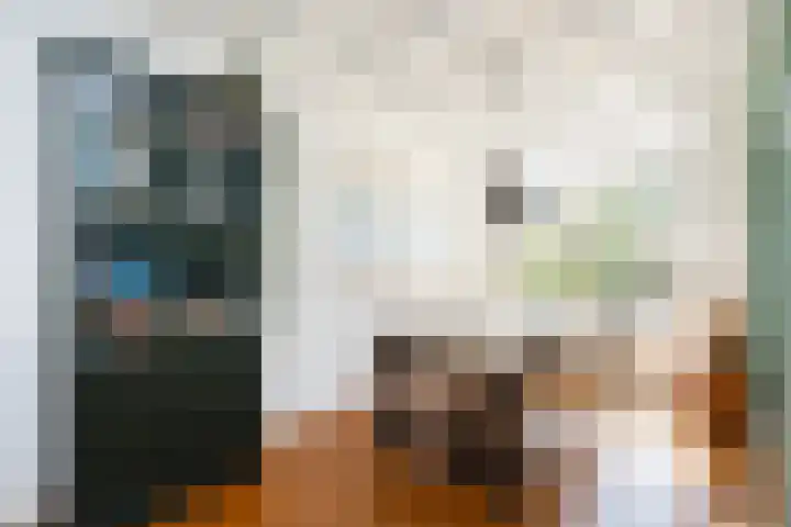 Pioenstraat 6 Zwolle thumbnail 9