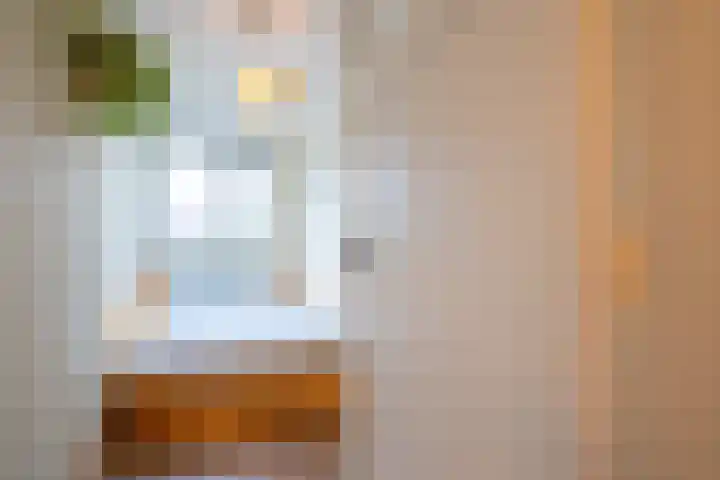 Pioenstraat 61 Groningen thumbnail 24