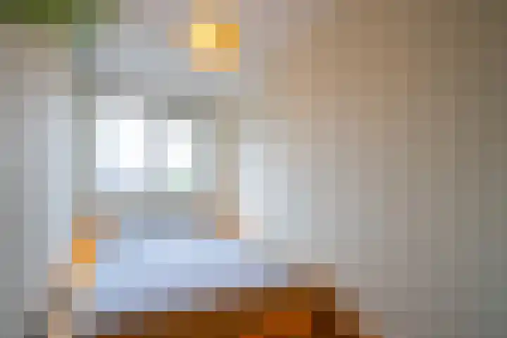 Pioenstraat 61 Groningen thumbnail 25