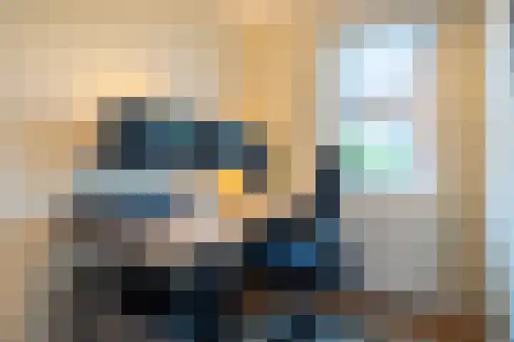 Pioenstraat 61 Groningen thumbnail 26
