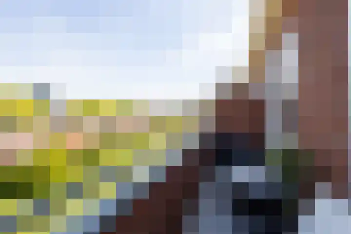 Pioenstraat 61 Groningen thumbnail 28
