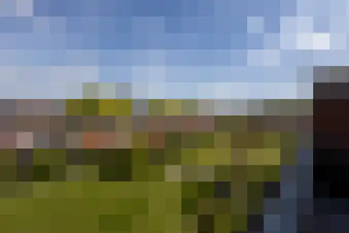 Pioenstraat 61 Groningen thumbnail 29
