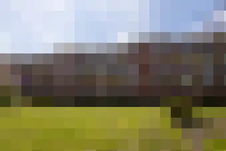 Pioenstraat 61 Groningen thumbnail 31