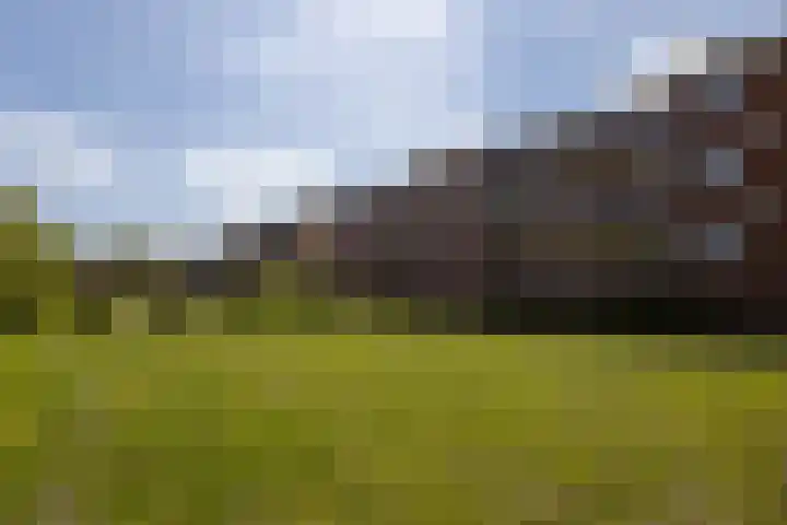 Pioenstraat 61 Groningen thumbnail 32