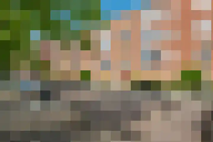 Pioenstraat 61 Groningen thumbnail 33