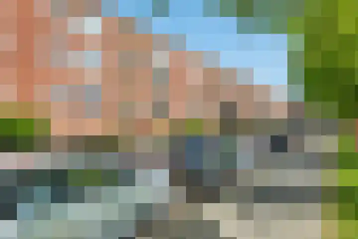 Pioenstraat 61 Groningen thumbnail 34
