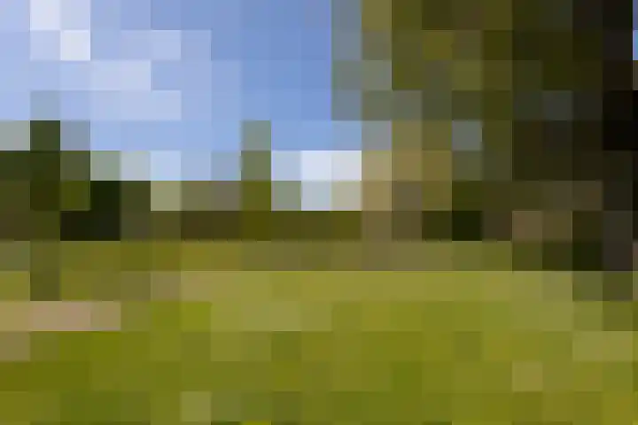 Pioenstraat 61 Groningen thumbnail 35