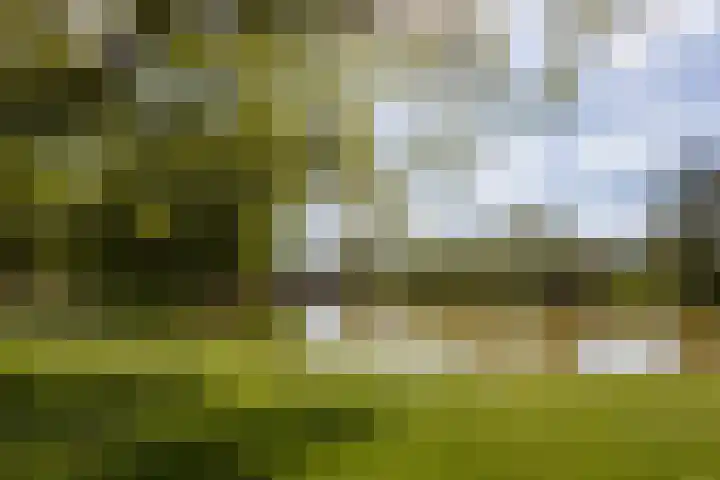 Pioenstraat 61 Groningen thumbnail 36