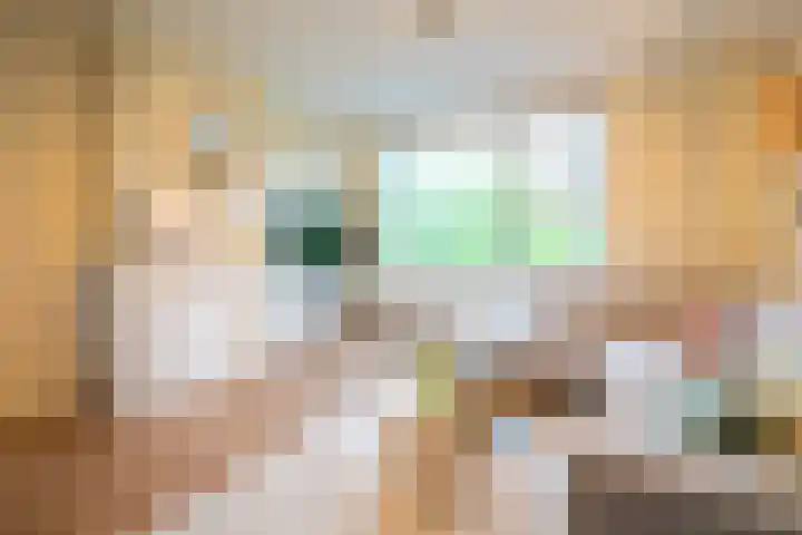 Pioenstraat 61 Groningen thumbnail 9