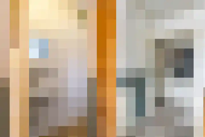 Pioenstraat 78 Groningen thumbnail 15