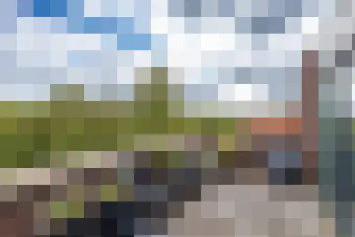 Pioenstraat 80 1 Groningen thumbnail 31